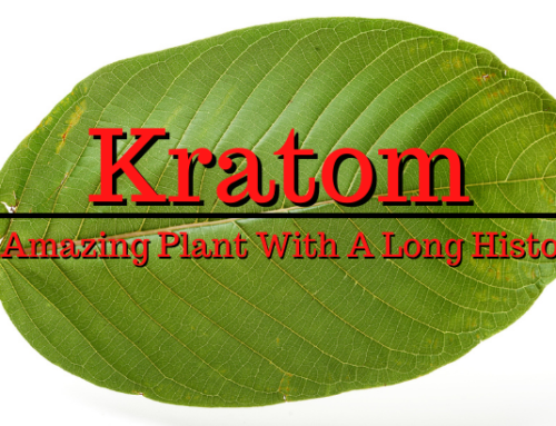 Kratom – An Amazing Plant With A Long History
