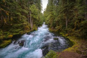 Flowing river